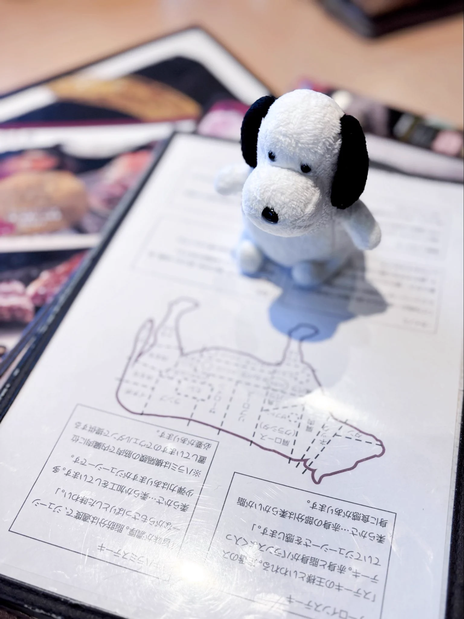 ヤメピスヌーピー