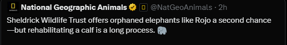 Max_webdev0 tweet picture