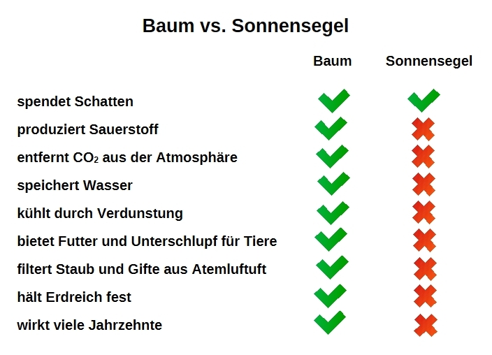 Baumentscheid tweet media