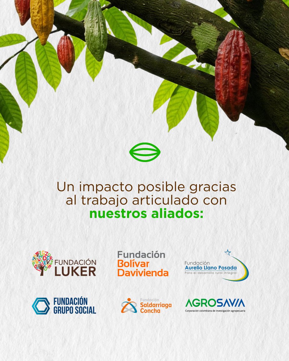 Luker Chocolate tweet media