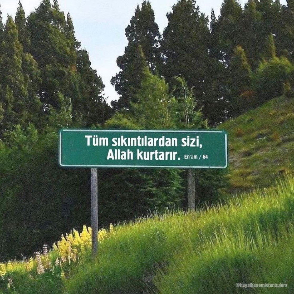 Hakikat Sesi tweet media