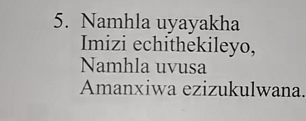 Siboniso KaMabaso tweet media