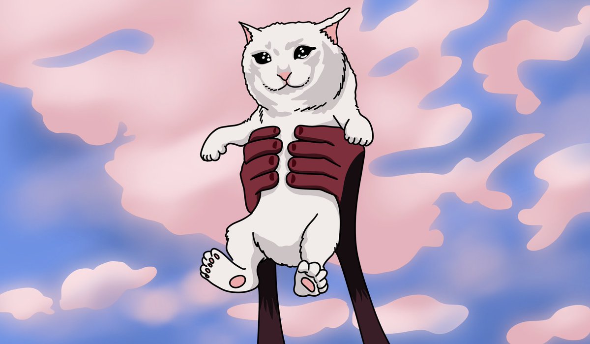 SadMeow tweet media