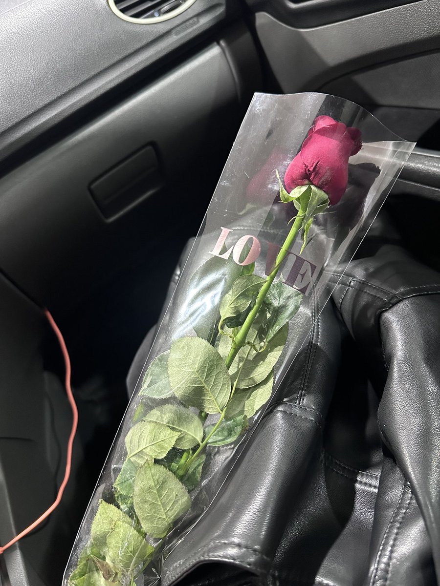 Le di una segunda cita.
De nuevo apareció con una rosa❤️