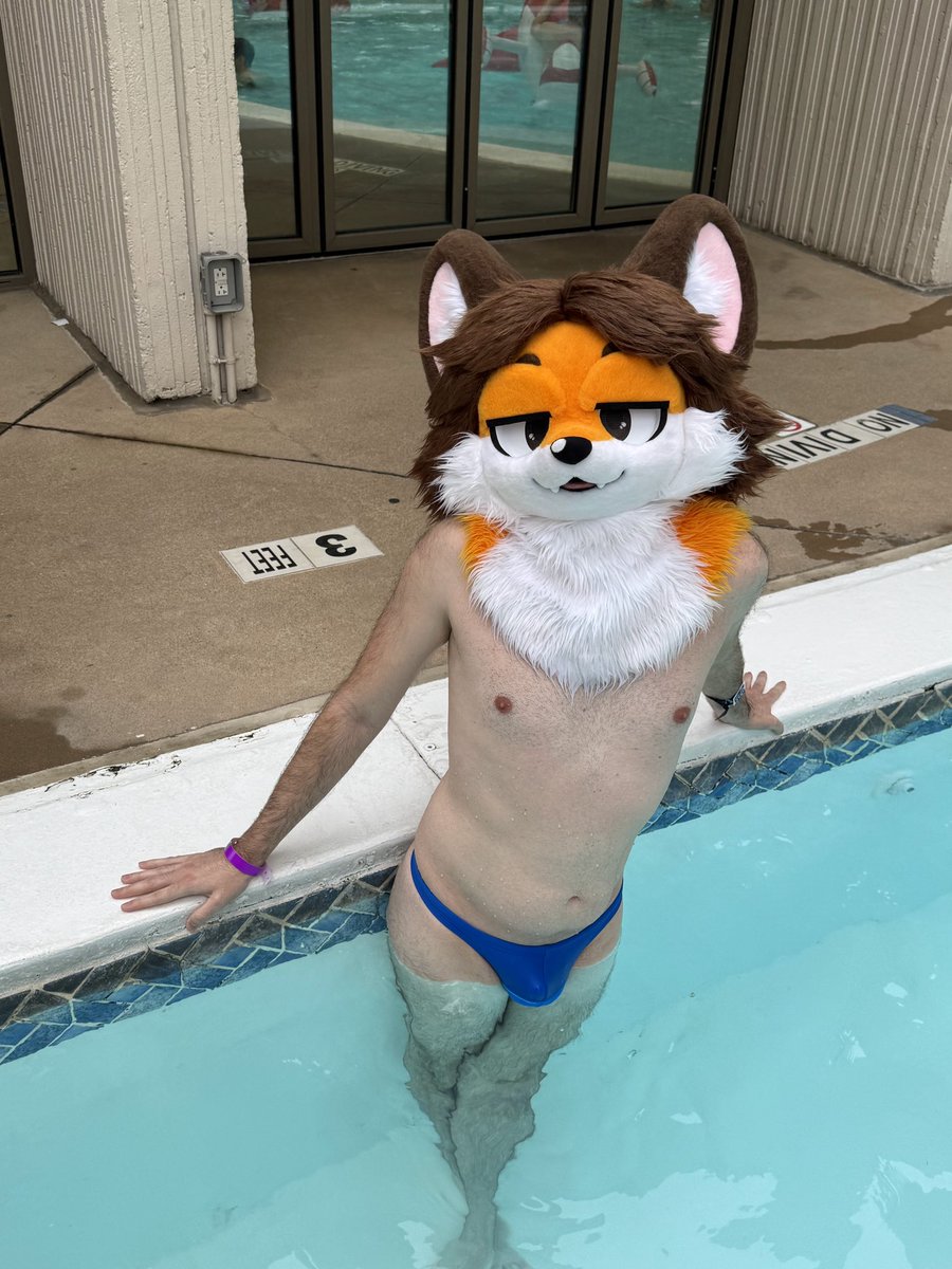 Taylor! 🦊🎀 tweet media