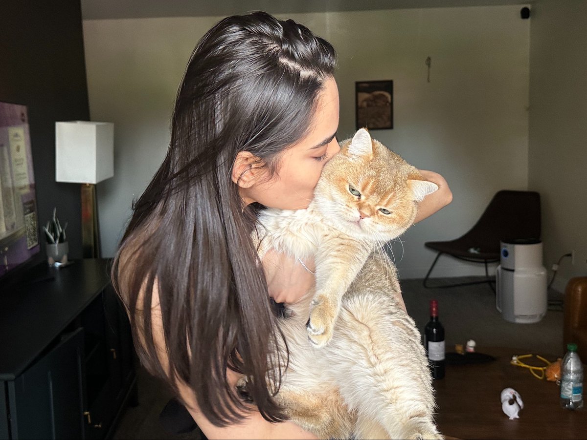 🐈‍⬛ tweet media