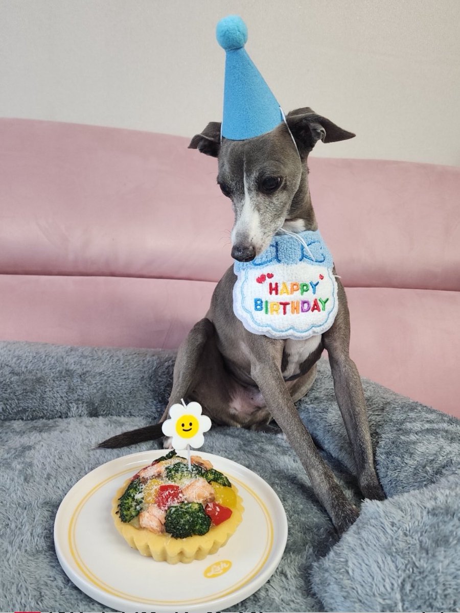 AlwaysLSH_PH's tweet photo. [💚] maetamongisdad IG post update

“Haute’s 12th Birthday 🥳🎉🎂 2026/05/05”

🥕https://t.co/TGC5A5YrhM

#LEESEUNGHOON #HOONY @official_hoony_ #이승훈 #위너 #WINNER https://t.co/bEZpC6gEIu