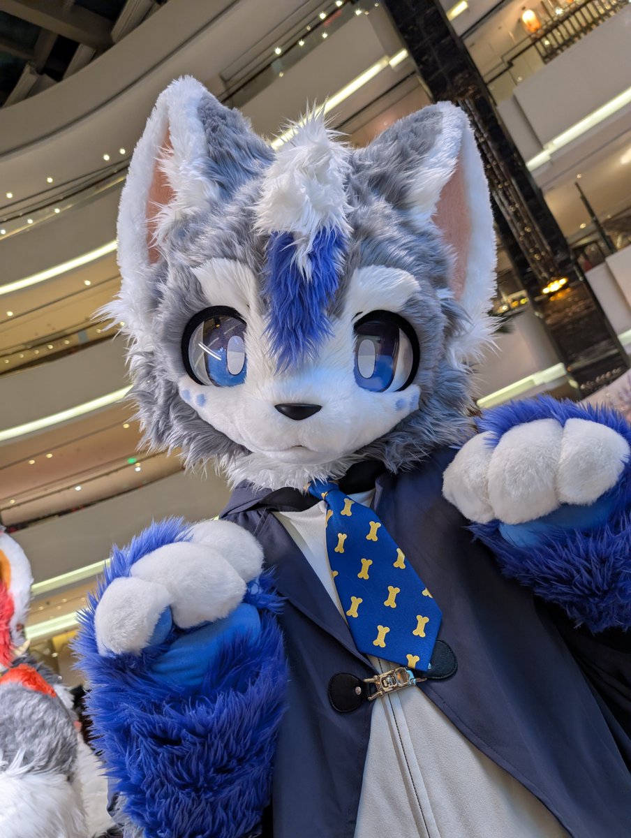 ねこまたぎ@火影喵忍 🔜OFFF2026 tweet media
