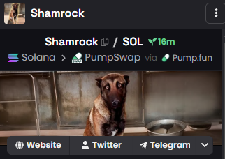$Shamrock has been updated on DEXScreener.

dexscreener.com/solana/bw1nbdx…