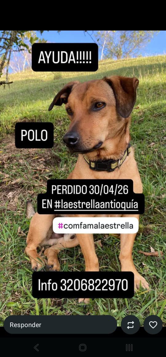 Santiago Cadavid A. tweet media