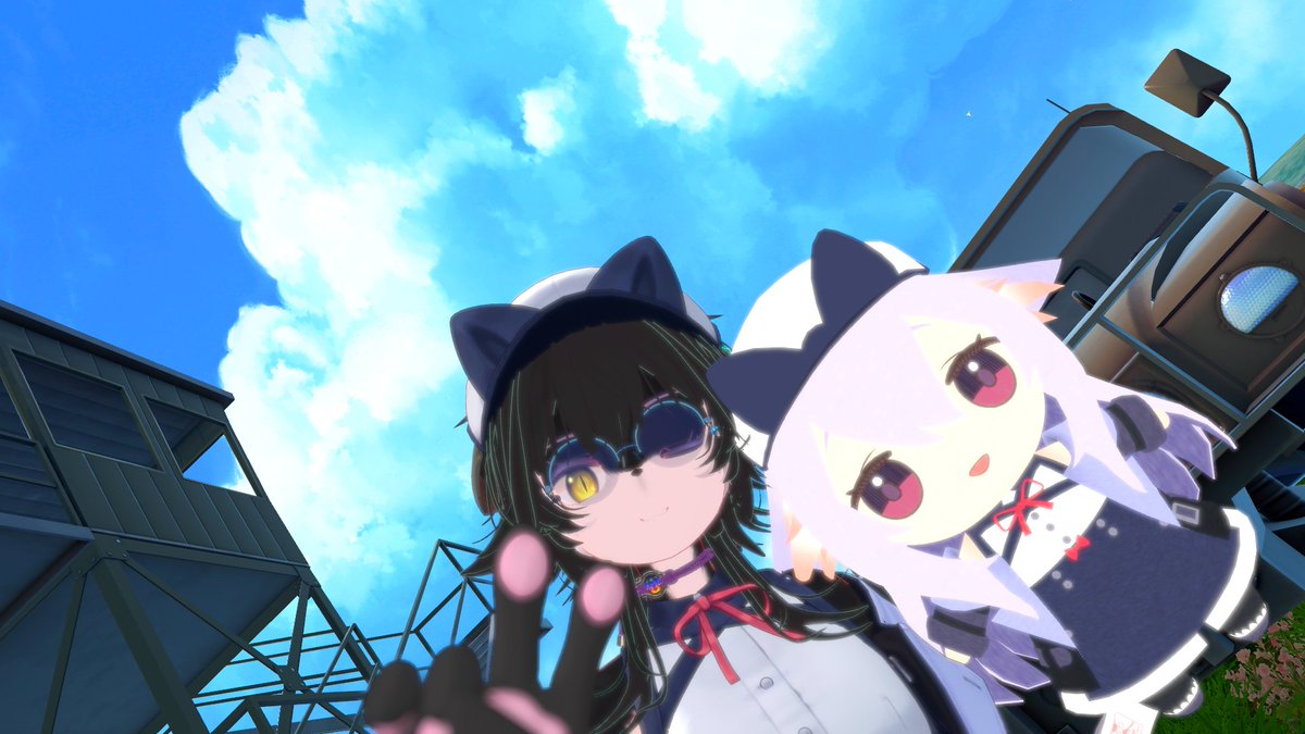 曖昧な猫 tweet media