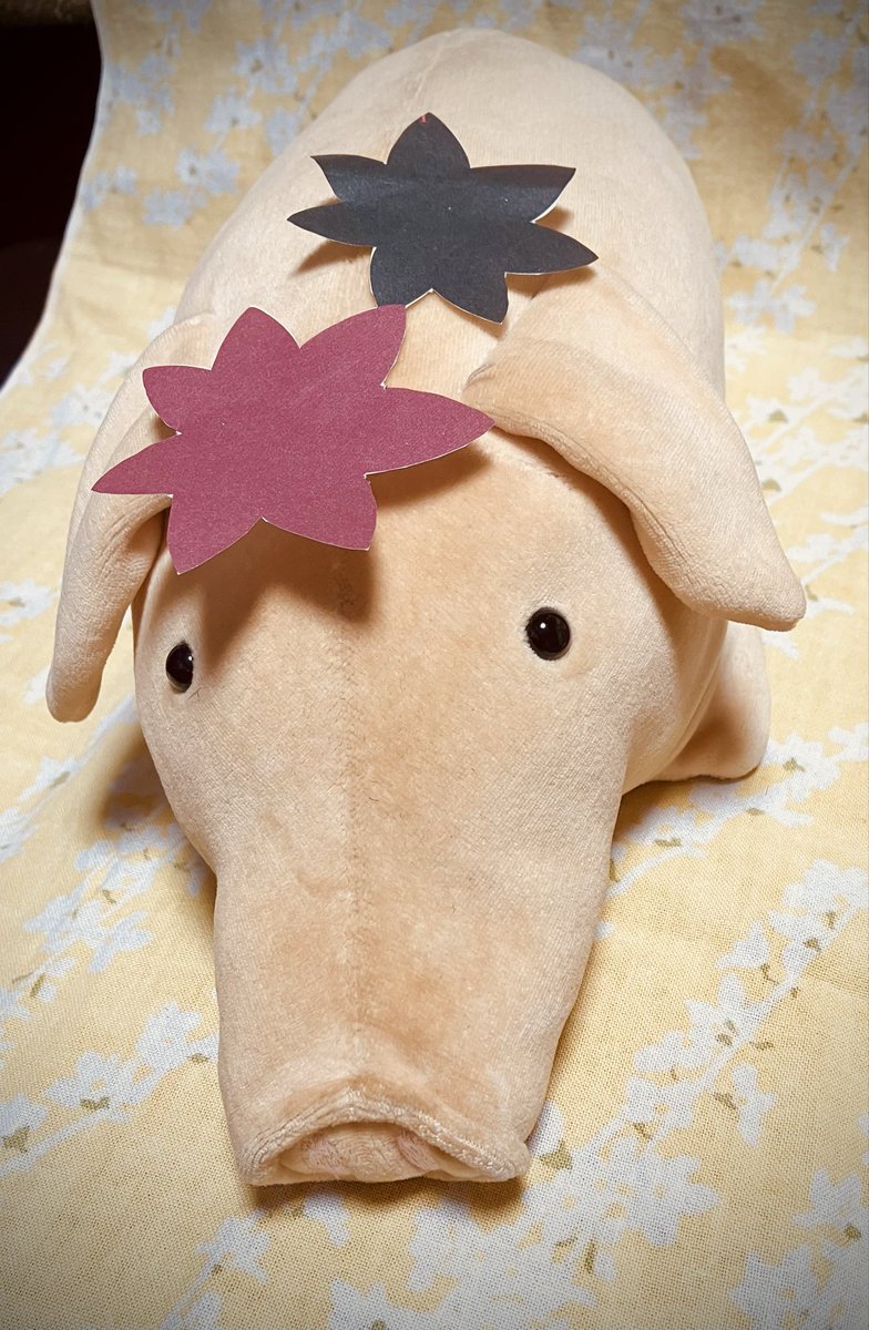 nyoropichi's tweet photo. もみじ系バムセが
おつかれさまでした🐷🍁
と申しております
#バムセ #bamse #bamsen https://t.co/dkmo58JqjU