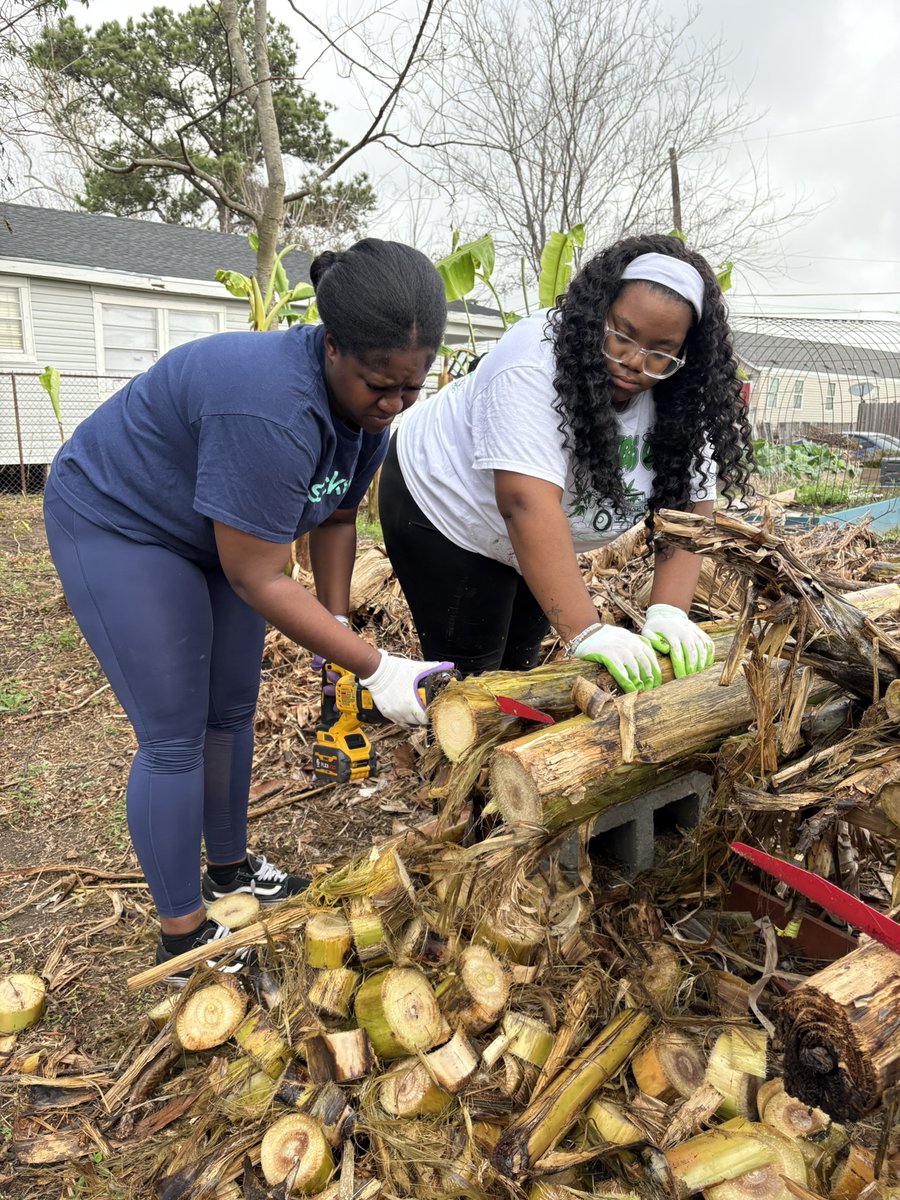 AFSCSouthRegion's tweet photo. Today is the day—#GiveNOLADay is here! Help @afsc_org's Peace by Piece NOLA program reach their $5K goal to support garden expansion and community initiatives including engagement with youth, Hollygrove residents and the rest of the *140 volunteers* that assisted PxP last year! https://t.co/dLGGbKYAUb