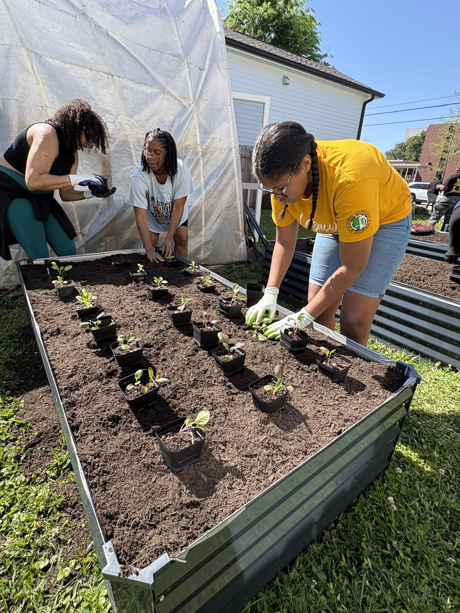 AFSCSouthRegion's tweet photo. Today is the day—#GiveNOLADay is here! Help @afsc_org's Peace by Piece NOLA program reach their $5K goal to support garden expansion and community initiatives including engagement with youth, Hollygrove residents and the rest of the *140 volunteers* that assisted PxP last year! https://t.co/dLGGbKYAUb