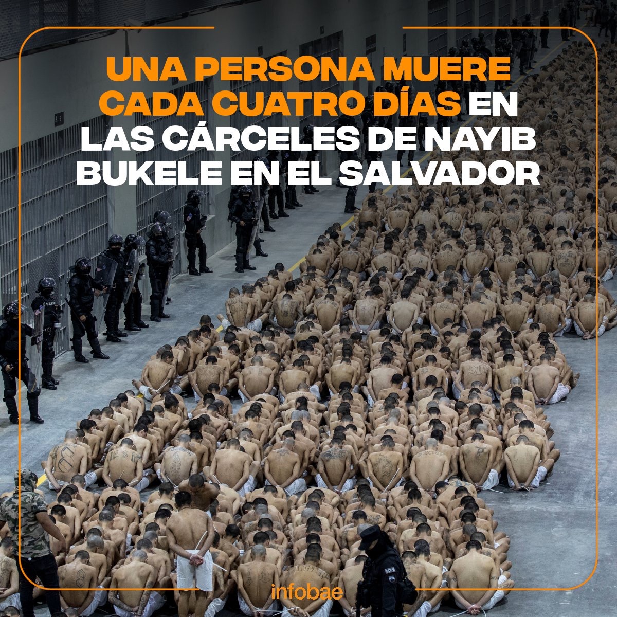 Ladrones Siendo Domad🐀s tweet media