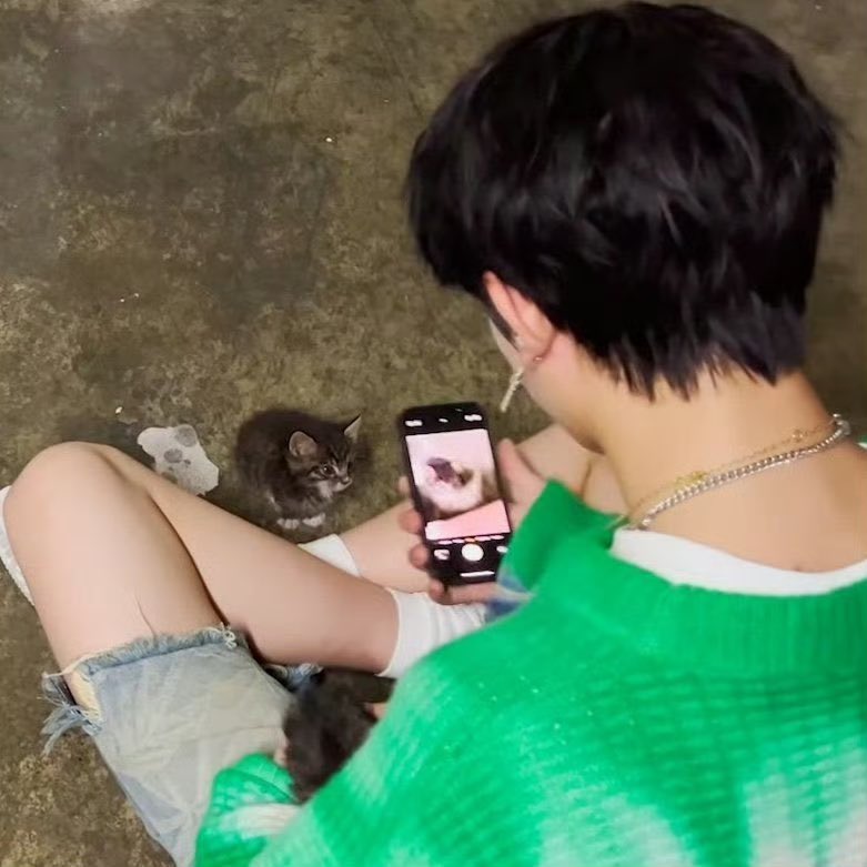 유유 tweet media