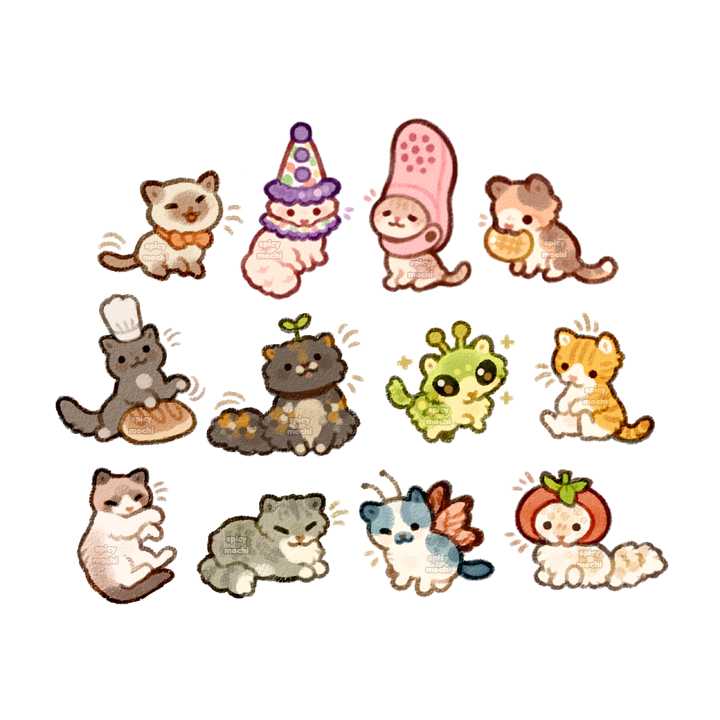 choose your fav tiny cat!