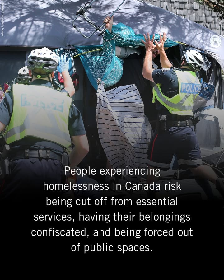 AmnestyCanada tweet media