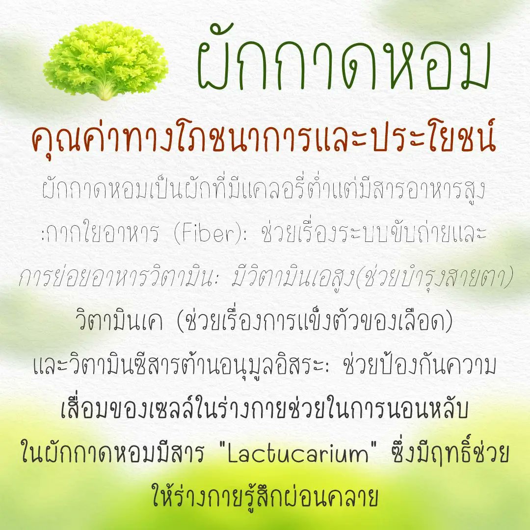 ฟอนต์.คอม tweet media