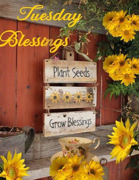 barbiesway's tweet image. Events in our lives can lead us forward, afraid, or hanging onto the past. The CHOICE is ours to make. Move forward with blessings🙏🌹😀🇺🇸☮️🐾🌻📚✝️
#TuesdayVibe #TuesdayMotivation #TuesdayFeeling
𝗚𝗼𝗼𝗱 𝗠𝗼𝗿𝗻𝗶𝗻𝗴☕️ 🫖𝐆𝐨𝐨𝐝 𝐀𝐟𝐭𝐞𝐫𝐧𝐨𝐨𝐧🌞 𝗚𝗼𝗼𝗱 𝗡𝗶𝗴𝗵𝘁🌛⭐️