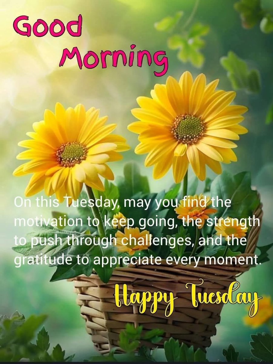 barbiesway's tweet image. Events in our lives can lead us forward, afraid, or hanging onto the past. The CHOICE is ours to make. Move forward with blessings🙏🌹😀🇺🇸☮️🐾🌻📚✝️
#TuesdayVibe #TuesdayMotivation #TuesdayFeeling
𝗚𝗼𝗼𝗱 𝗠𝗼𝗿𝗻𝗶𝗻𝗴☕️ 🫖𝐆𝐨𝐨𝐝 𝐀𝐟𝐭𝐞𝐫𝐧𝐨𝐨𝐧🌞 𝗚𝗼𝗼𝗱 𝗡𝗶𝗴𝗵𝘁🌛⭐️