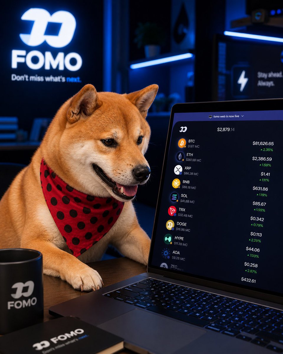 FOMO Quant tweet media