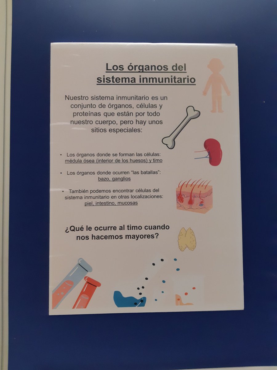immunemadrid's tweet photo. Cuando los niños nos ilustran el sistema inmunitario. Hall Principal Facultad Biologia de la UCM. Ultimos dias. https://t.co/XiXahPGLxj