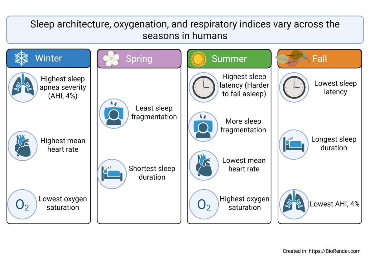 Society for Research on Biological Rhythms tweet media
