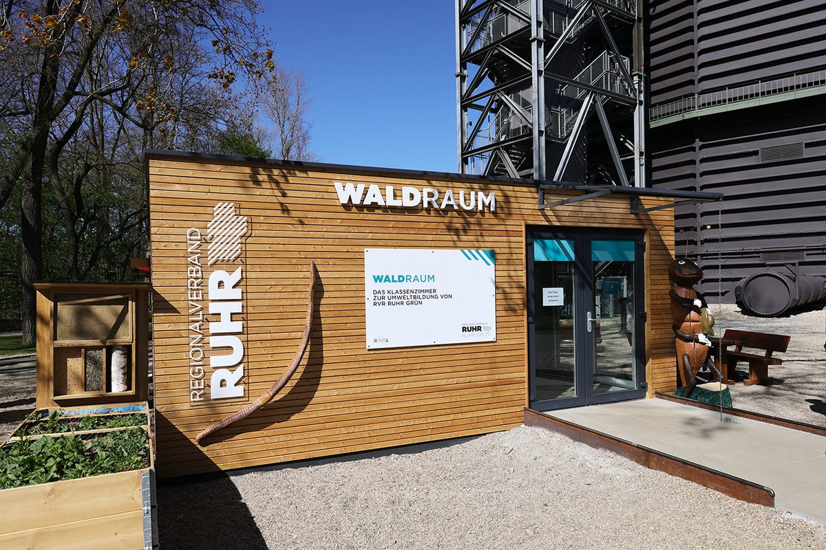 Gasometer_OB's tweet photo. Die aktuelle #Gasometer-Ausstellung „Mythos Wald“ ist um ein weiteres Highlight reicher: Im #Waldraum des #RVR Grün am Gasometer #Oberhausen ist ein Volk roter Waldameisen eingezogen. 🐜🐜🐜🐜🐜🐜

Zur Berichterstattung des WDR: https://t.co/m5M7BZfl8t https://t.co/YCJ0n4YUdY