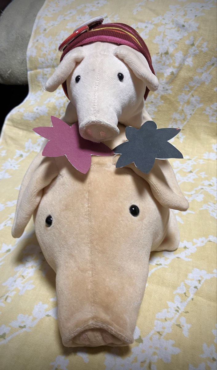 nyoropichi's tweet photo. 葉っぱのせブーム到来❣️
🍁🍁
🐷🐷
#バムセ #bamse #bamsen #ぬい撮り https://t.co/TFk79TinFL