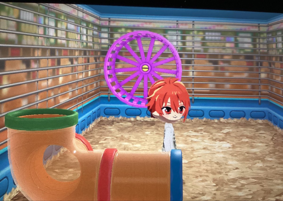 トモコレlive tweet media