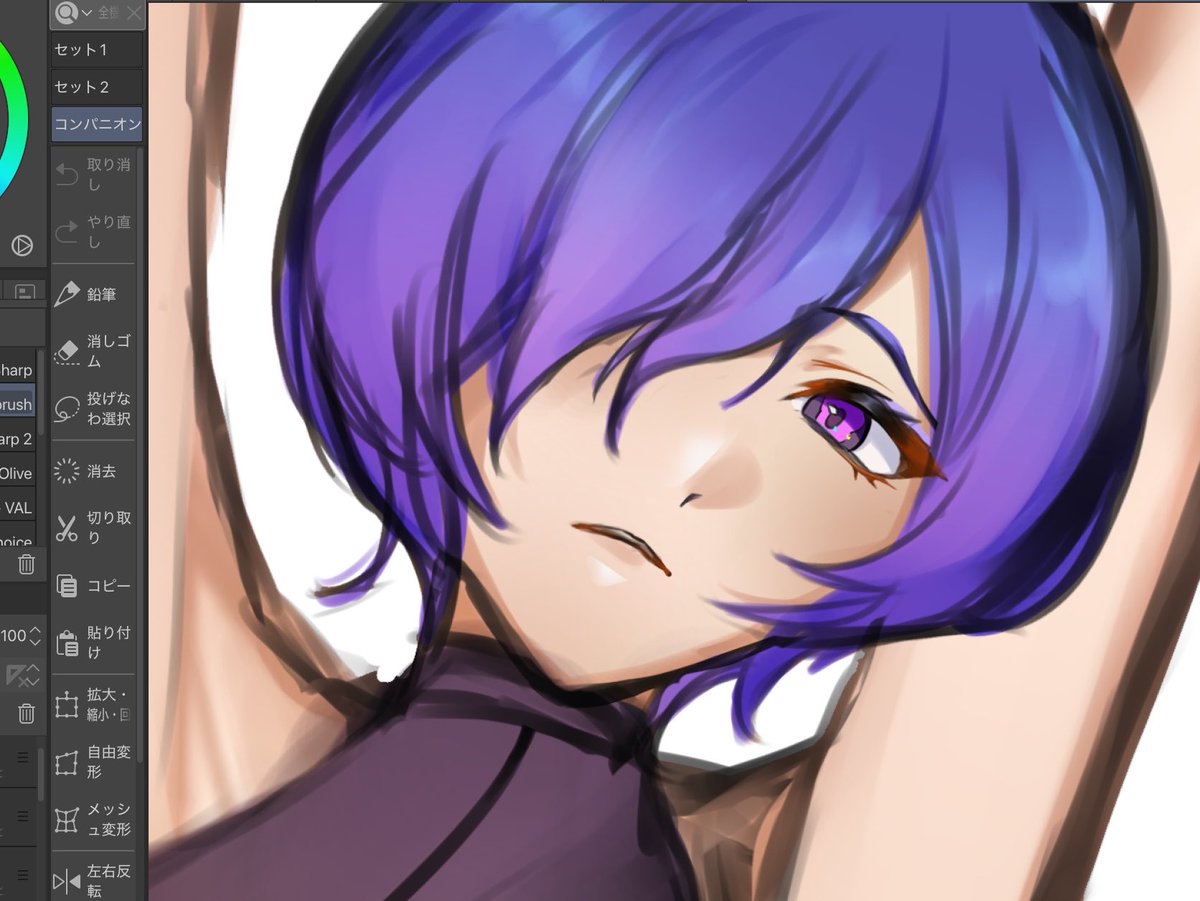 mecom1_3's tweet photo. プロメイア wip https://t.co/GnWRiRQNMG