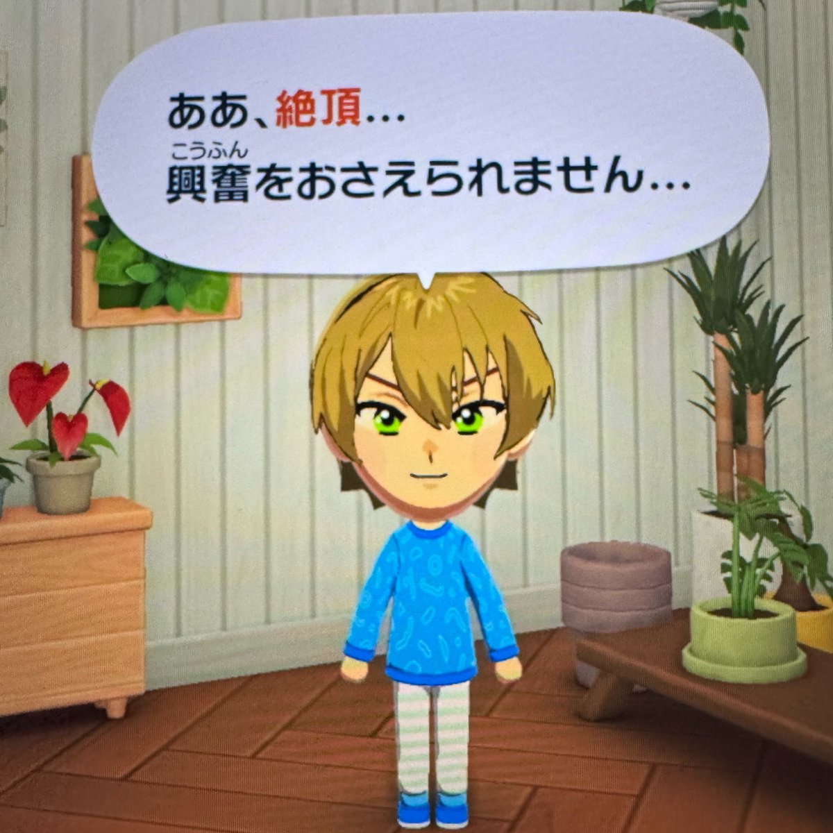 s2s7p's tweet photo. あたしがテニモンすぎるせいで、ミチルがよくない言葉覚えてたりする https://t.co/JsxTXYMv21