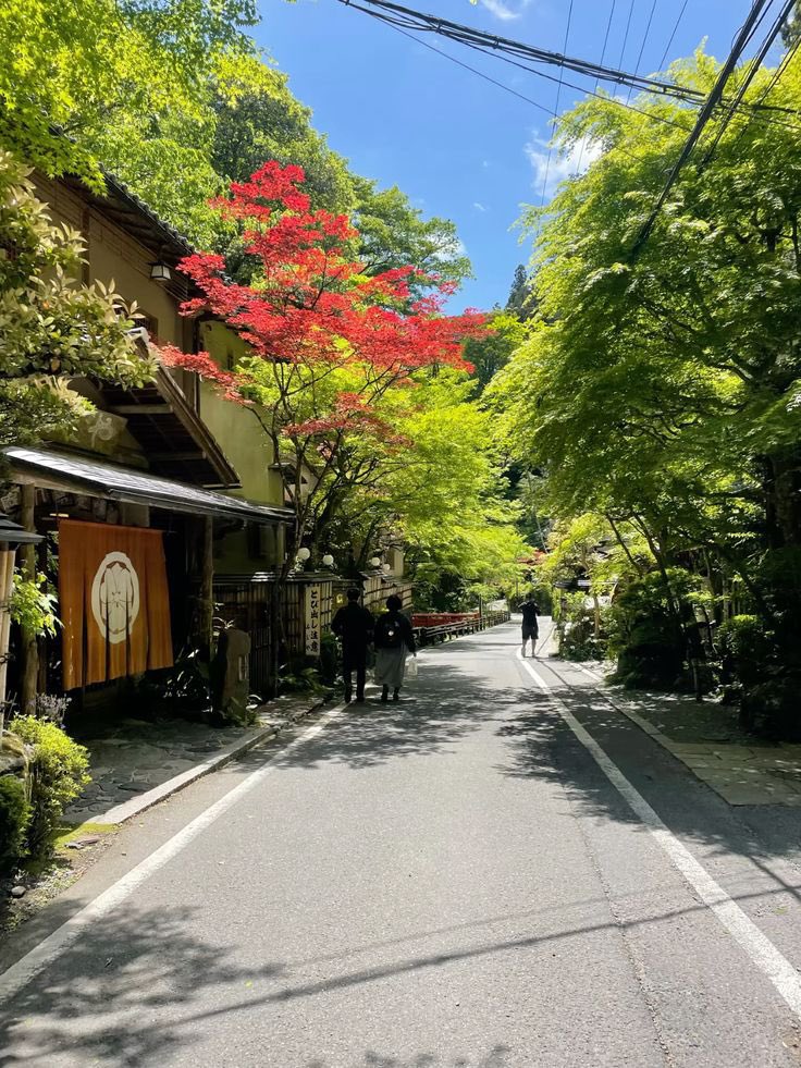 tsuki kuro tweet media