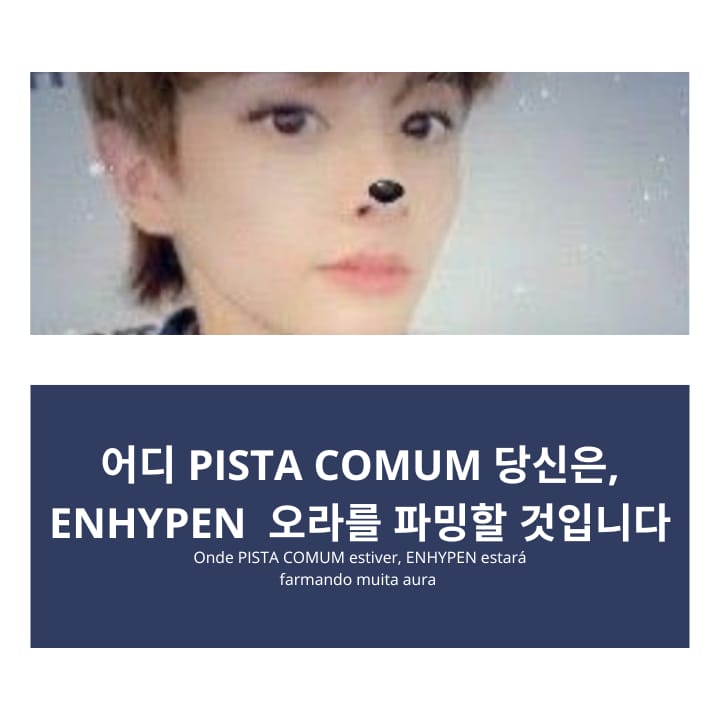 acervy pisters tweet media