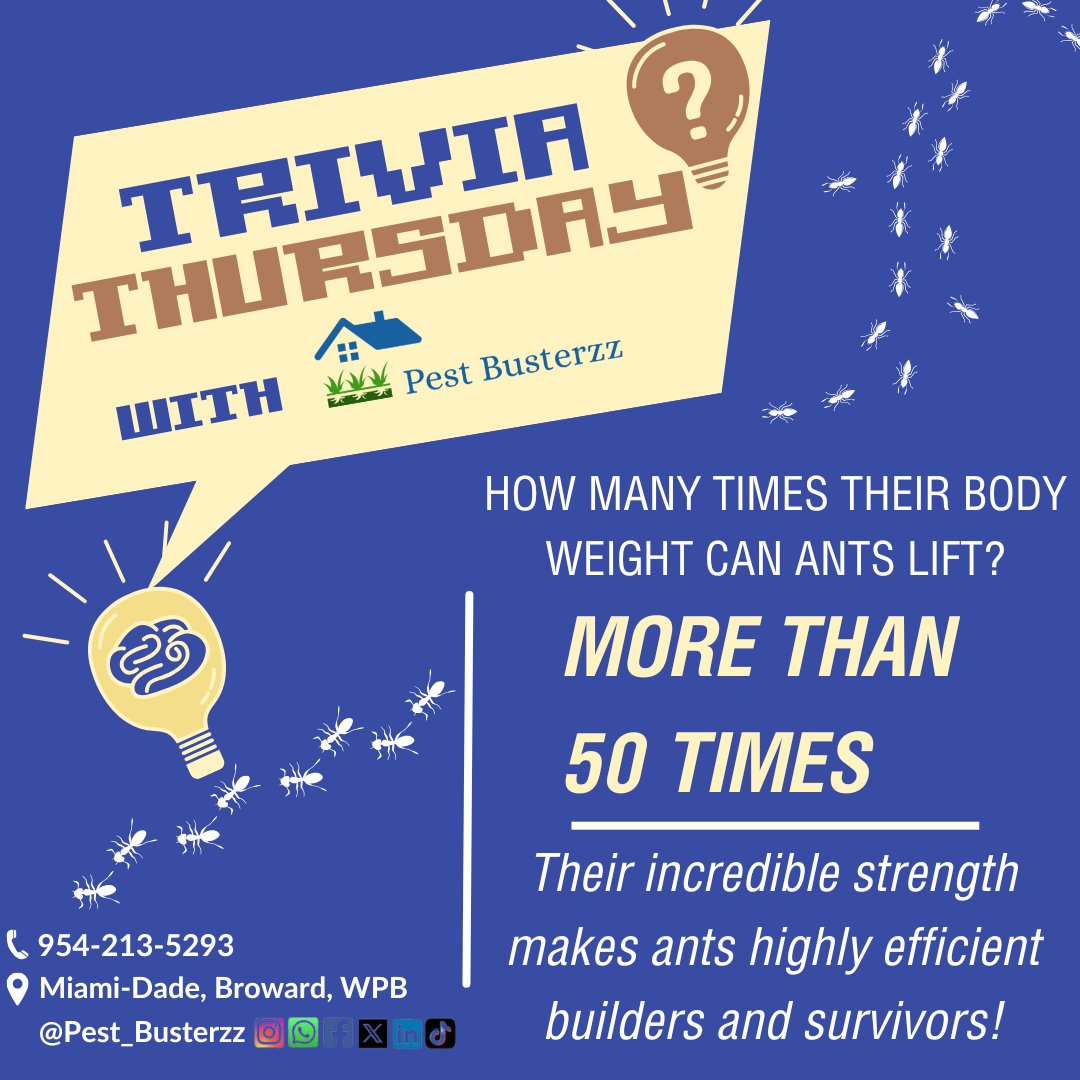 pest_busterzz's tweet photo. Trivia Thursday with Pest Busterzz! Dive into fun pest control facts, learn something new about the critters around you, and see how our family‑owned team keeps homes protected with safe, effective solutions. #PestBusterzz #PestControl #PestFree https://t.co/M14z1NEZFX https://t.co/ekq03wNh0B
