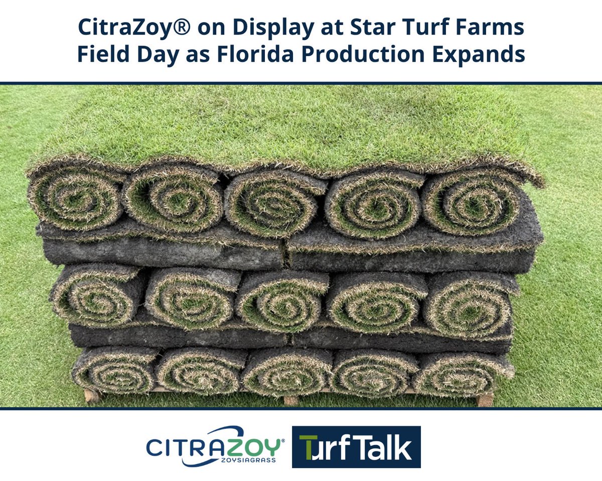SodSolutions's tweet photo. Prospective turfgrass producers and industry professionals gathered in Indiantown, FL, for the Star Turf Farms field day to see firsthand the performance and production of CitraZoy® Zoysiagrass. Read the full recap on this event: https://t.co/rS01JGcMFn https://t.co/o7VguMf8lr