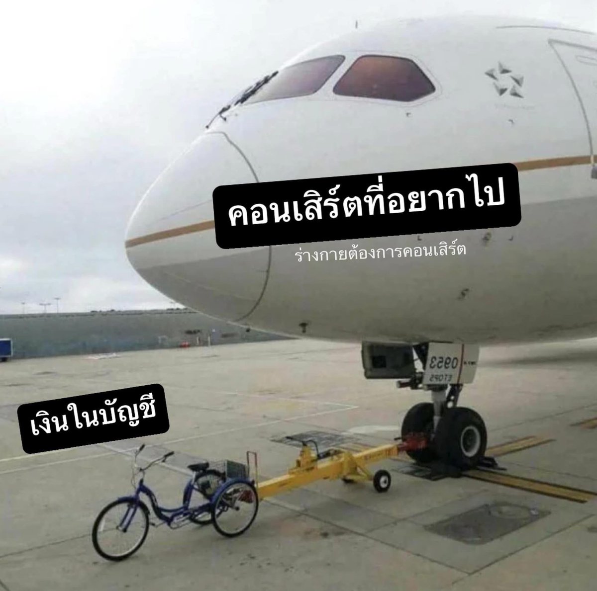 nxmx_xi tweet media