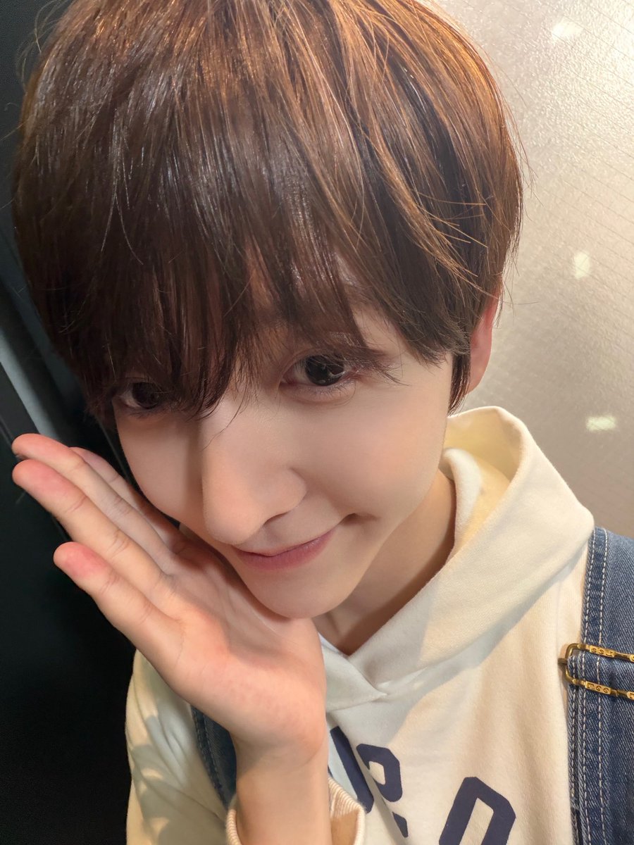 도오 tweet media