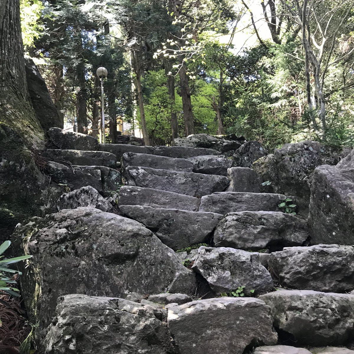 StandardBlue's tweet photo. 本宮山 砥鹿神社 奥宮
'26.5.5 https://t.co/mqcHysin4W