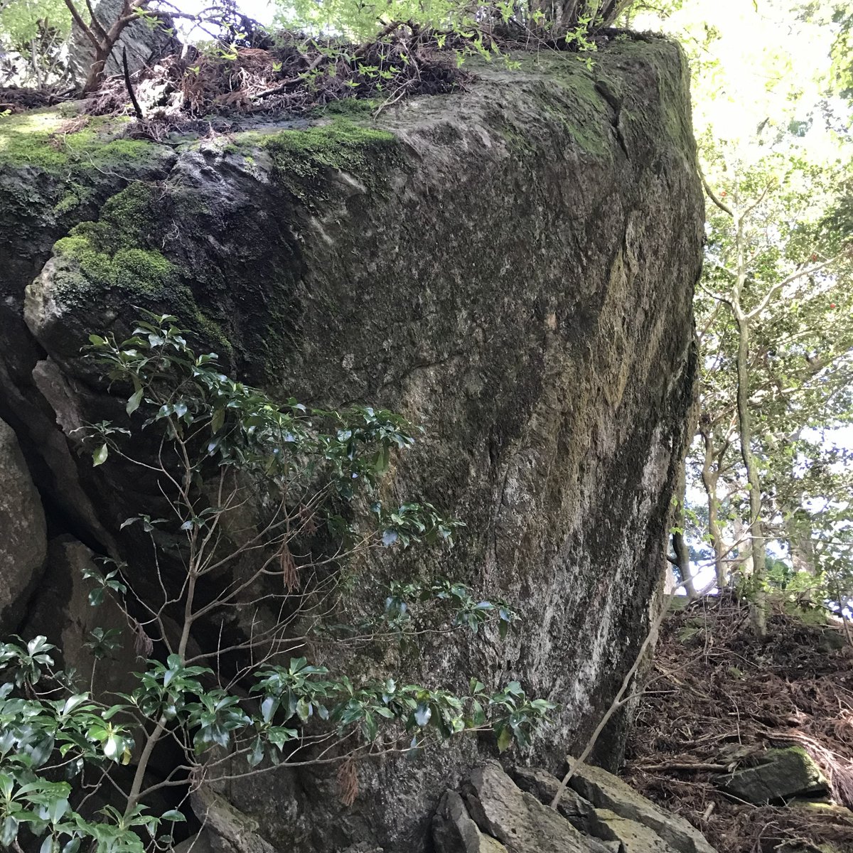 StandardBlue's tweet photo. 本宮山 砥鹿神社 奥宮
'26.5.5 https://t.co/mqcHysin4W
