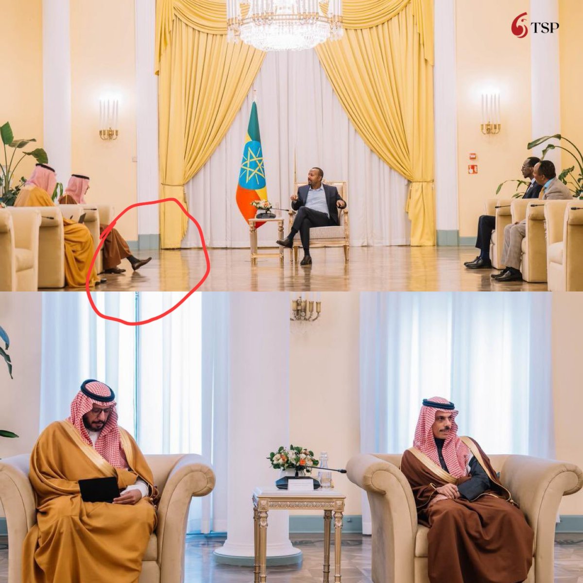 sharaf makkawi tweet media