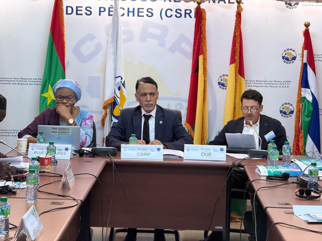 Commission Sous Régionale des Pêches tweet media