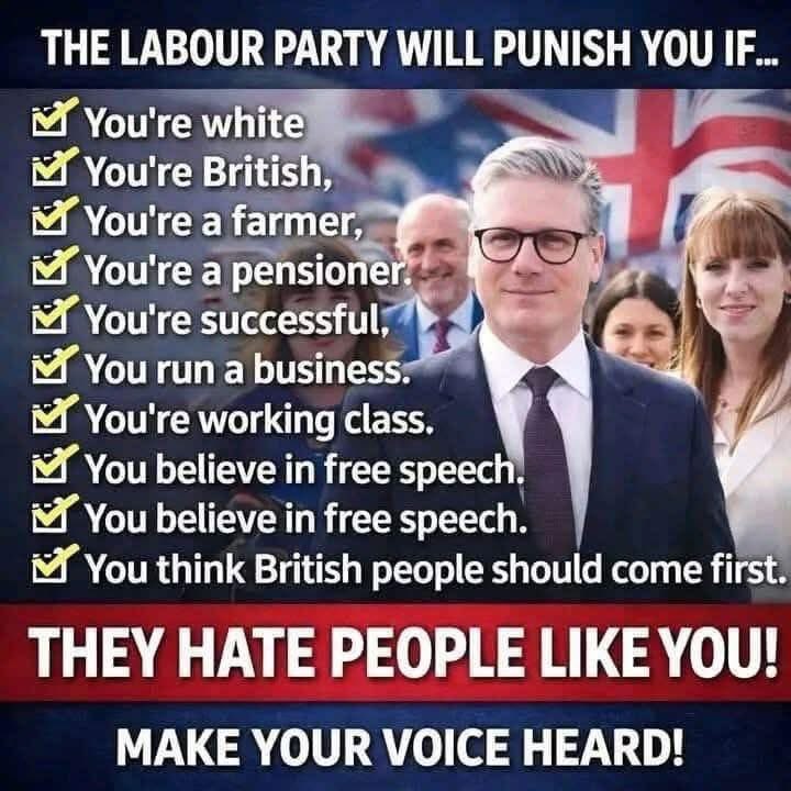 AdySwann's tweet photo. @labourpress @MirrorPolitics Vote Reform 🩵🩵🩵 https://t.co/JWJM7eLW8o
