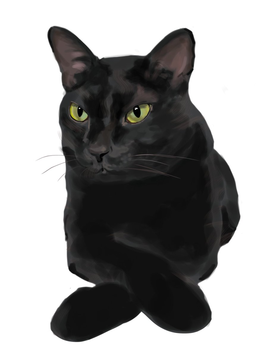 Bogie724's tweet image. #Cat #Miumiu #drawing #digitalart #art  #painting 
 #artmoots