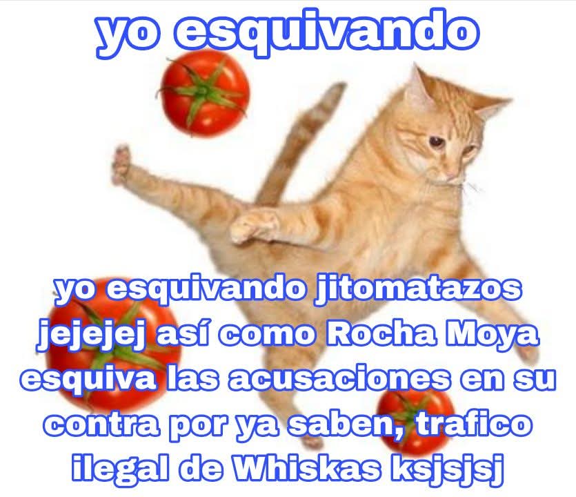 Maestre Mapaxito tweet media