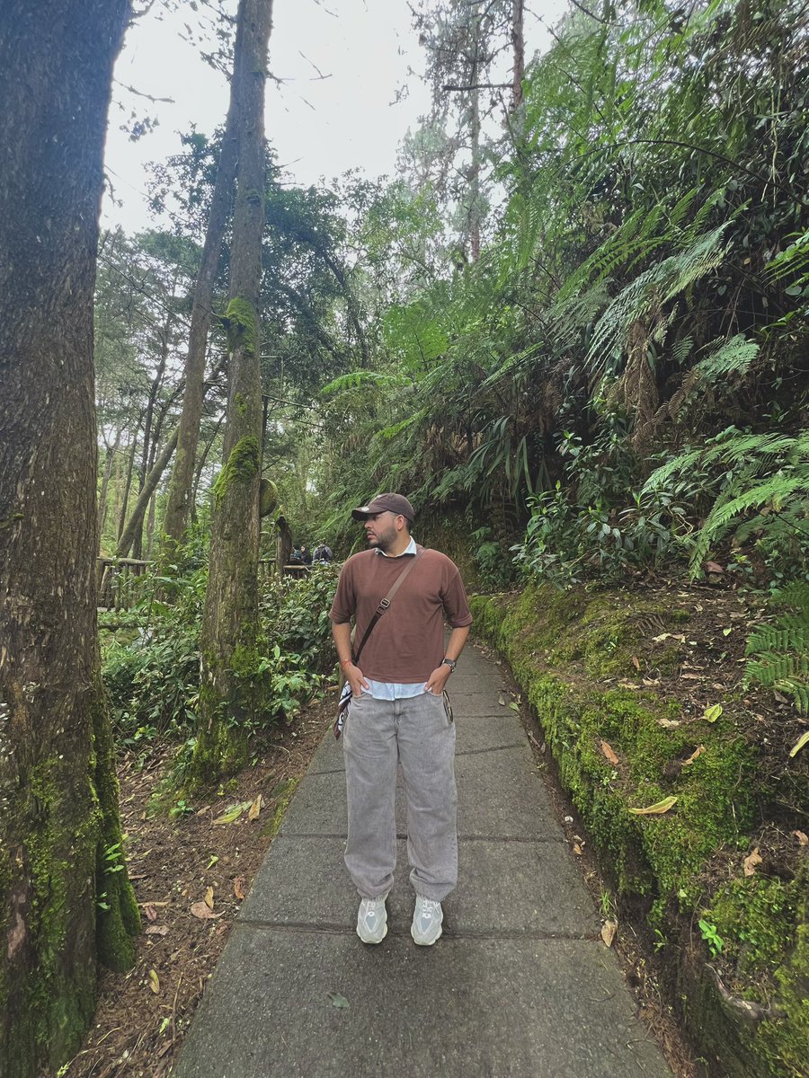 jossi Dominguez🐻‍❄️ tweet media