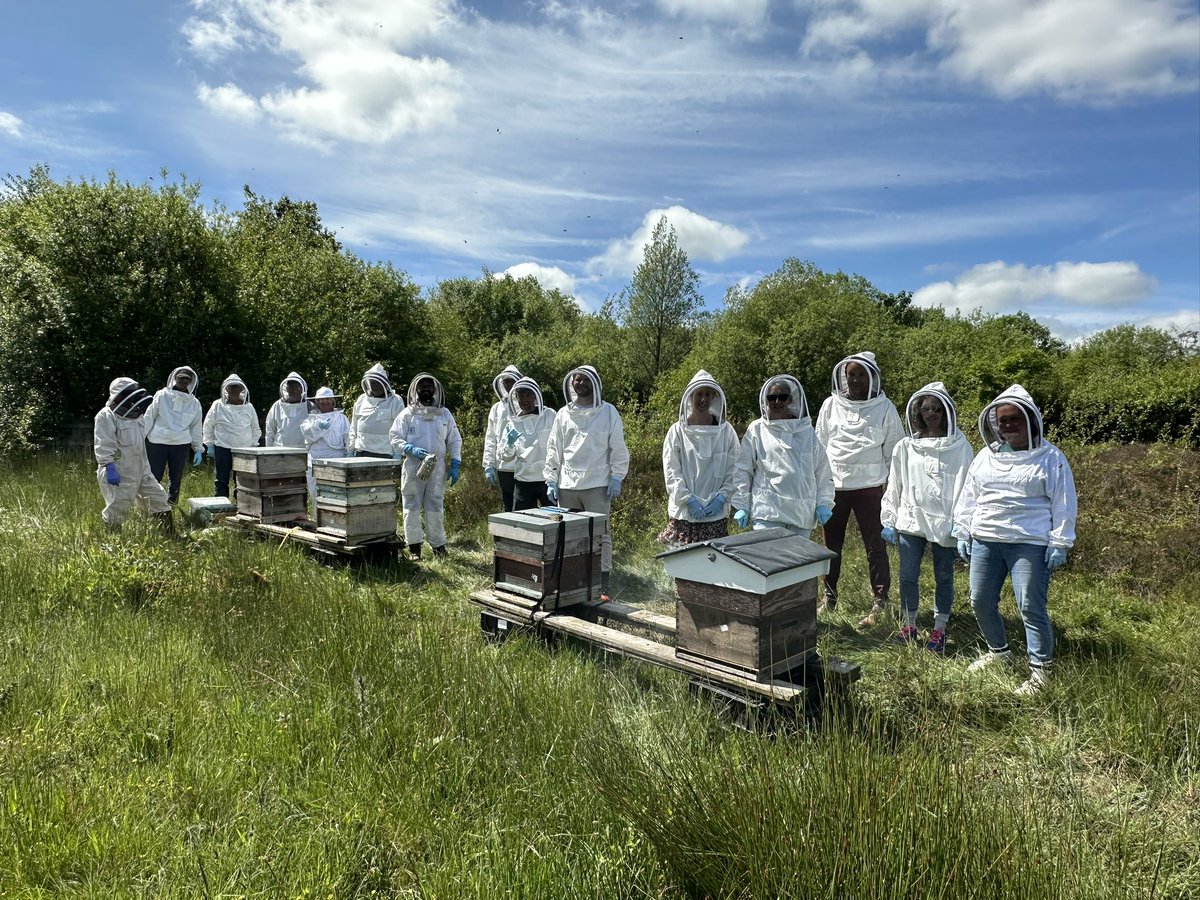 RDBKA1's tweet photo. Places for the RDBKA’s popular Introduction to Beekeeping Weekend on 30/31 May at Foxglove Covert, Catterick, are going fast! An ideal taster for those contemplating beekeeping: some theory and plenty of hands-on practice. See website for details https://t.co/aUmE8w004W. https://t.co/UoX9eblIx8