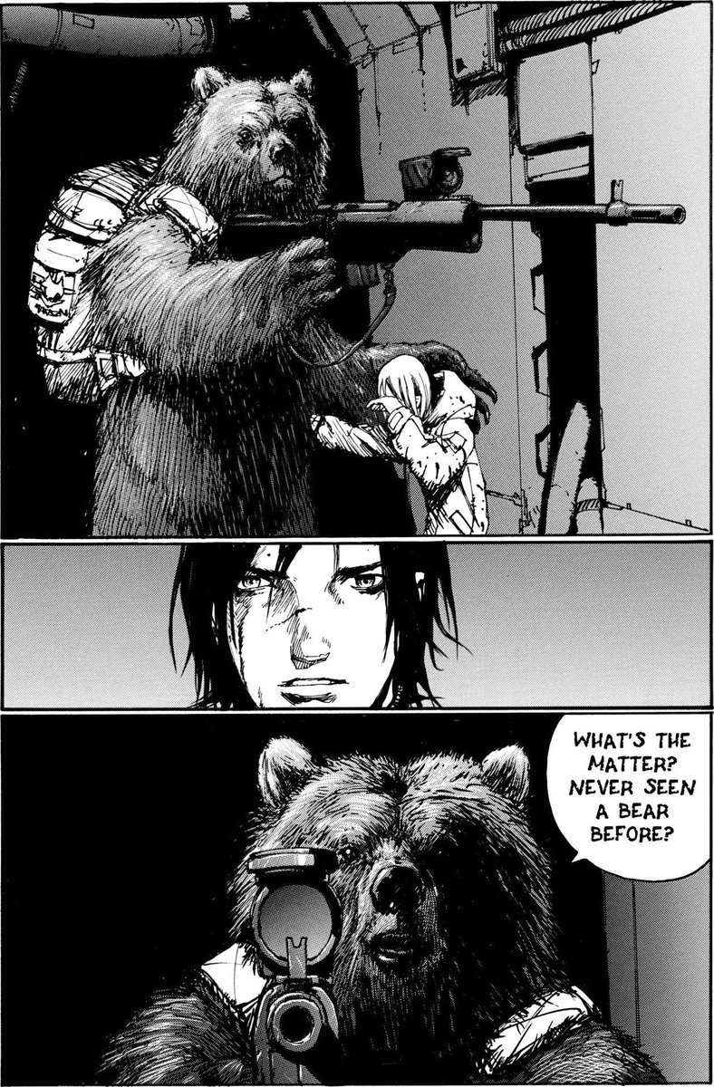 🐻 Bear 🍃 tweet media