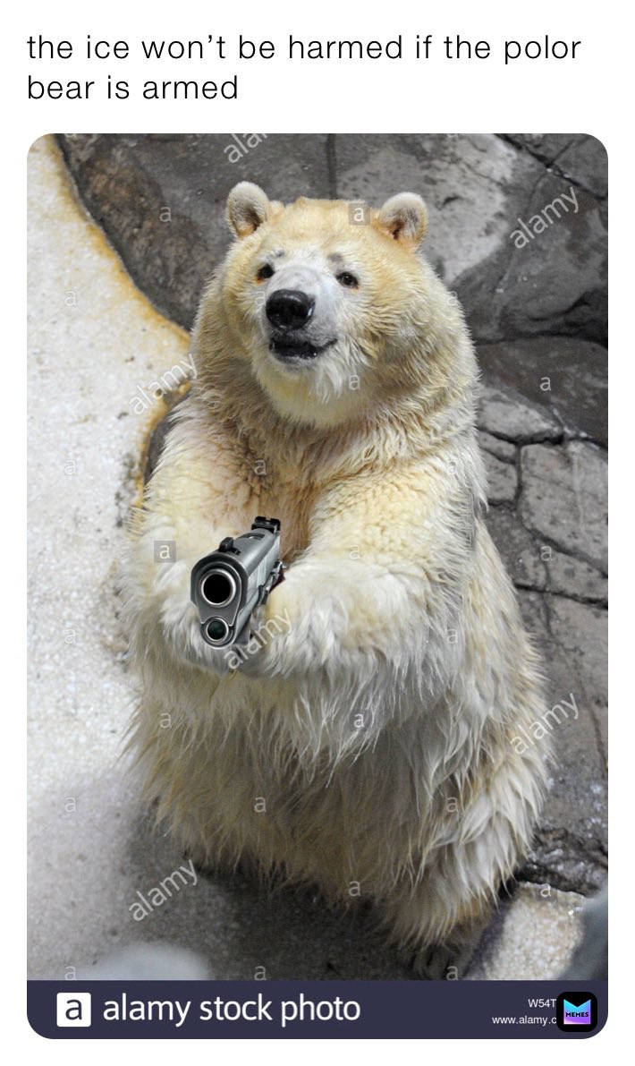 🐻 Bear 🍃 tweet media